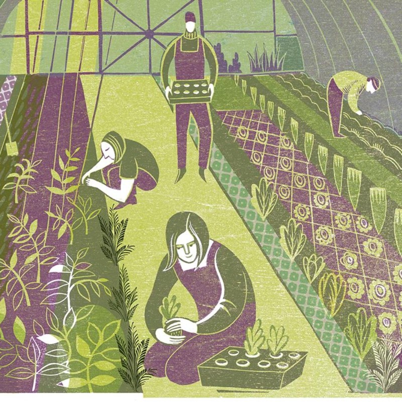 polytunnel Sarah Young