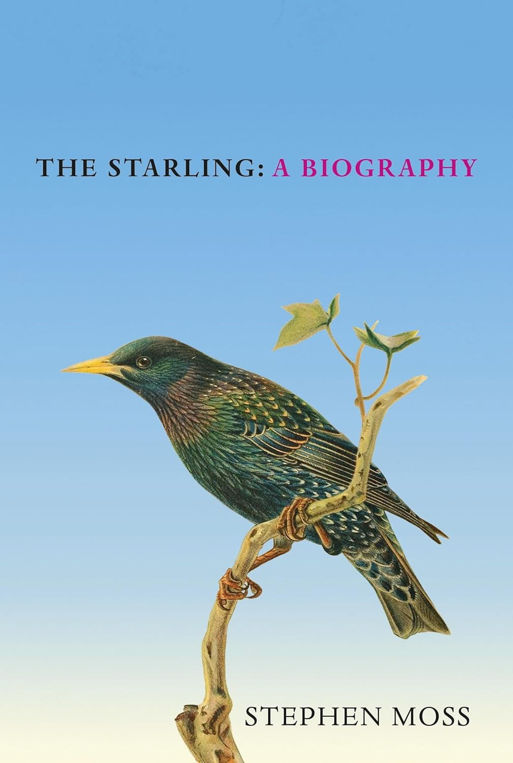 the starling a biography