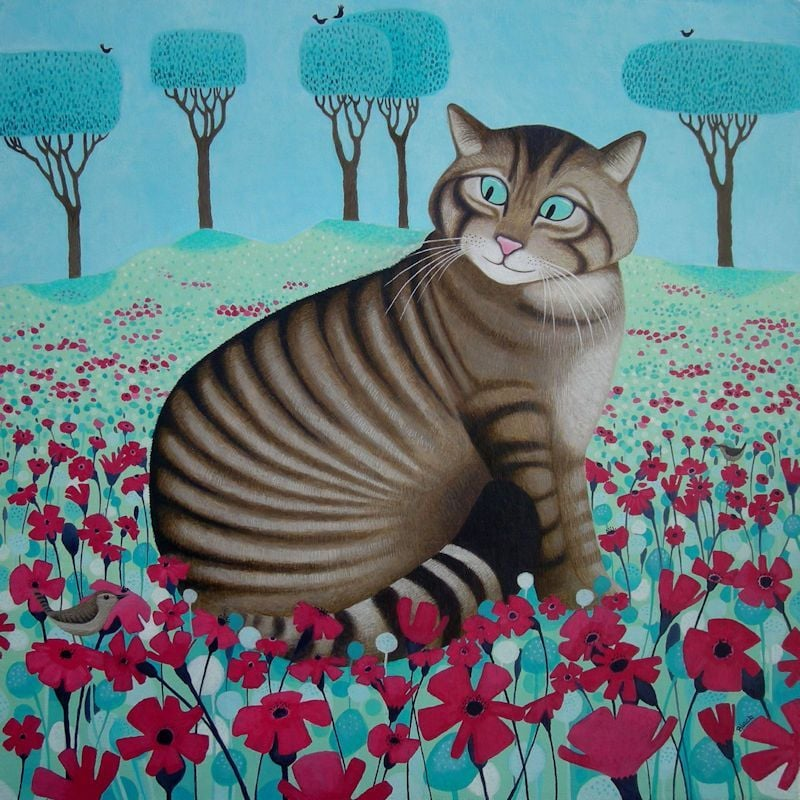 Scottish wildcat Ailsa Black