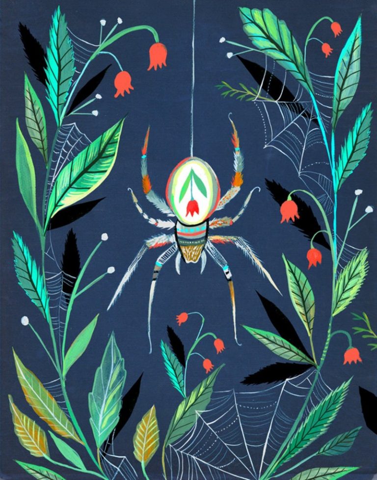 spider the wheatfield