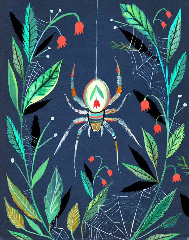 spider the wheatfield