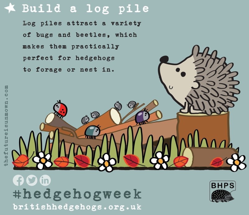 British Hedgehog Preservation Society