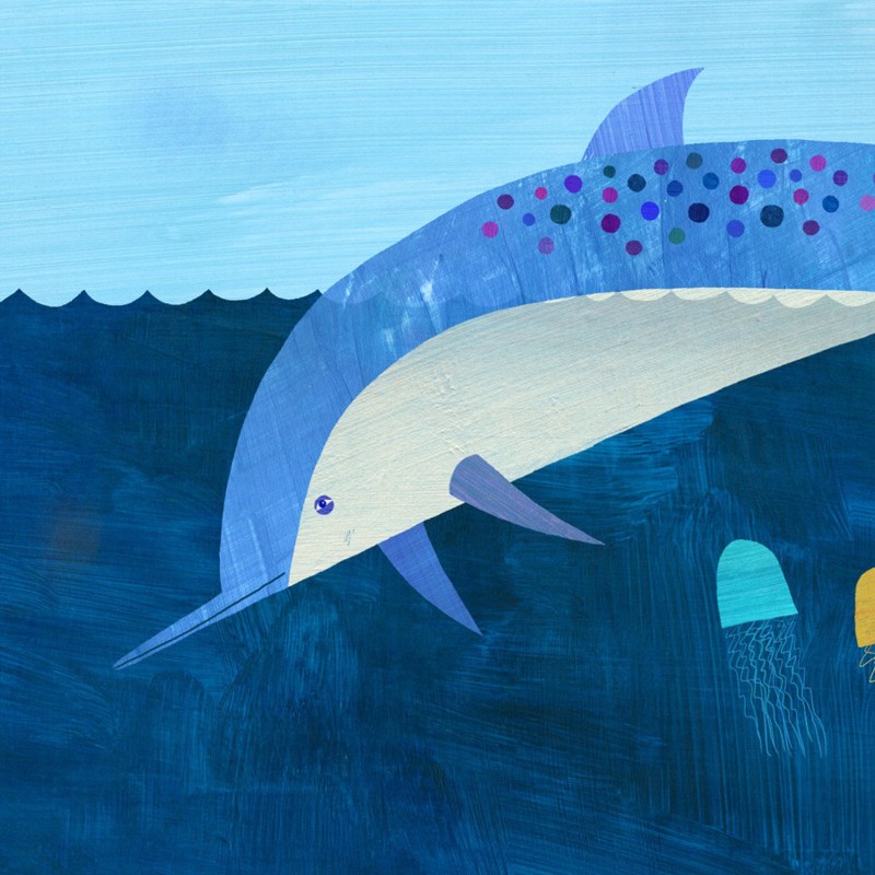 dolphin Melanie Mikecz