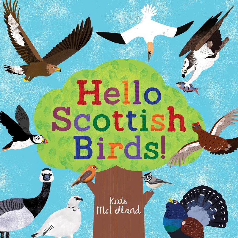 hello Scottish birds