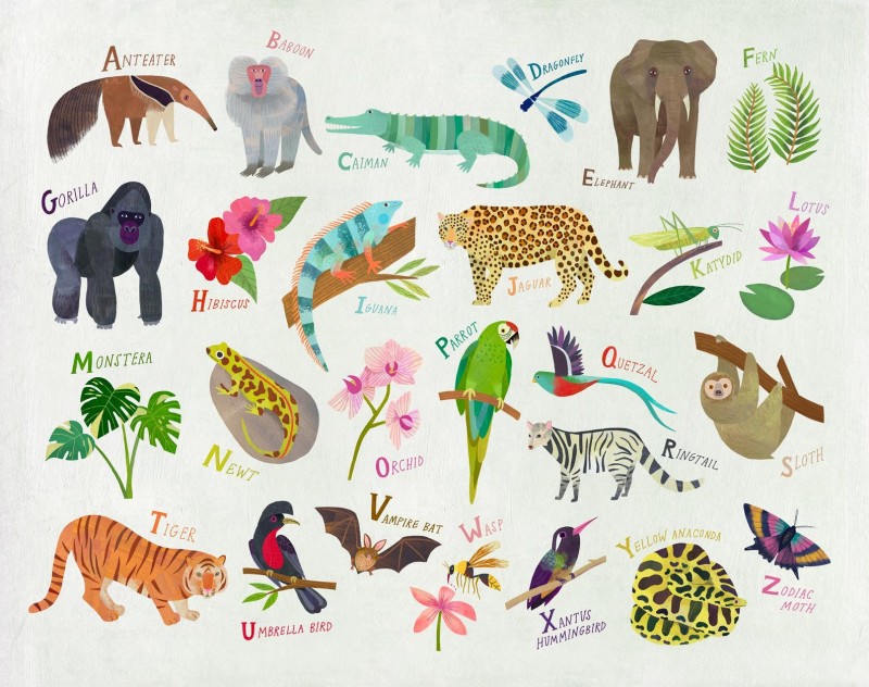 jungle alphabet Melanie Mikecz