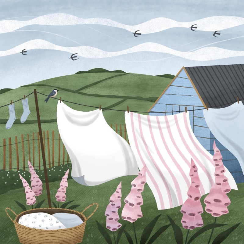 laundry Holly Astle