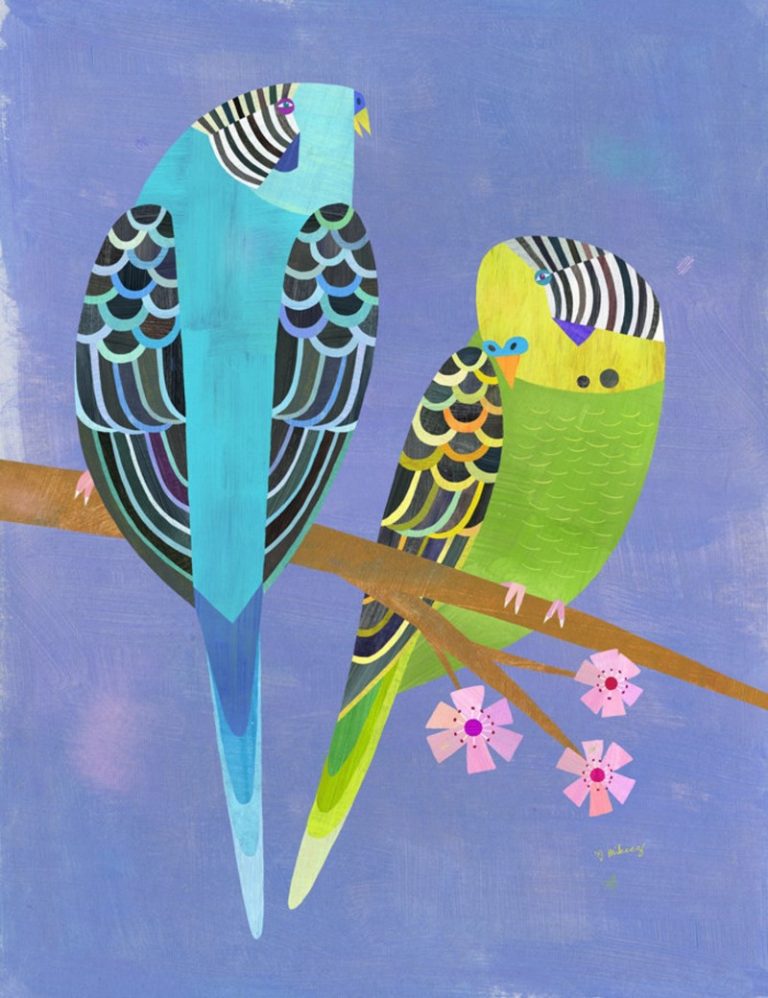 parakeets Melanie Mikecz