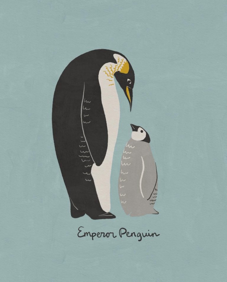 penguins Betsy Siber
