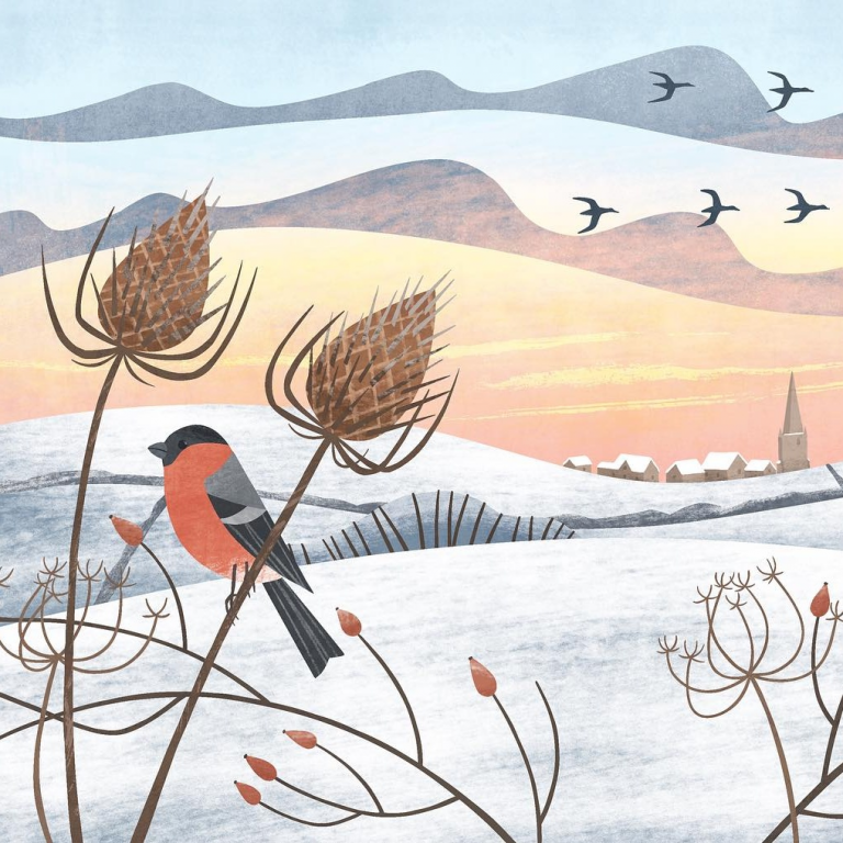 pretty bird Holly Astle