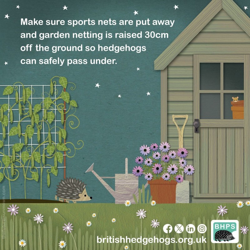 British Hedgehog Preservation Society
