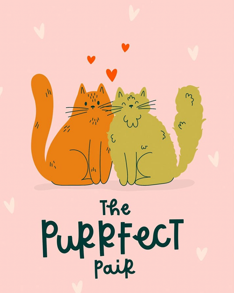 the purrfect pair Abbie Imagine