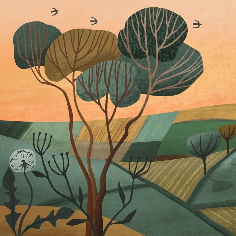 trees Holly Astle