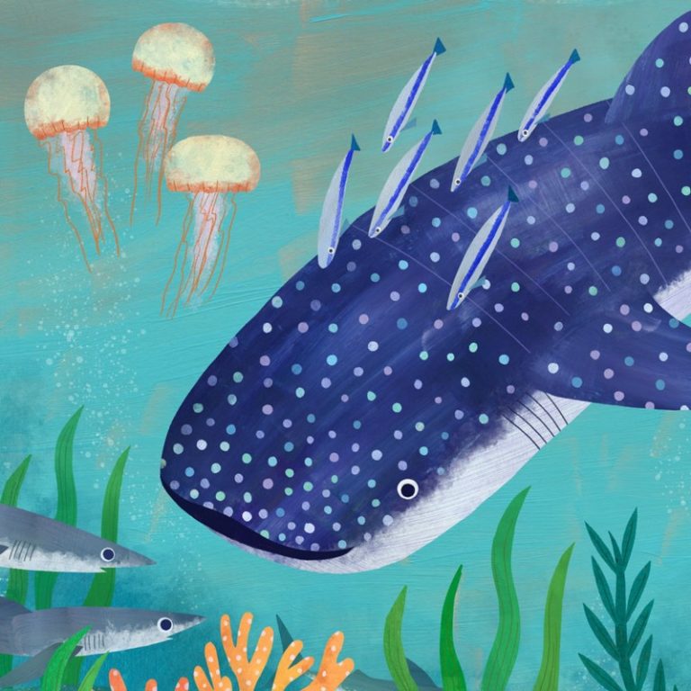 whale shark Melanie Mikecz