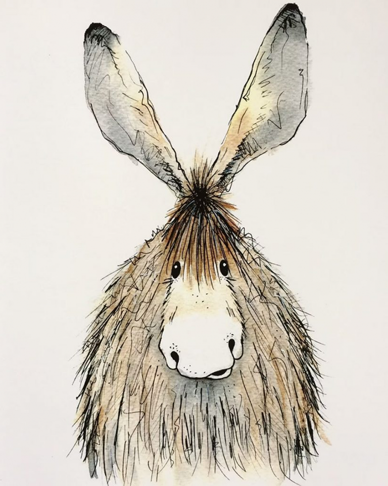 Dougal donkey Hares and Herdwicks