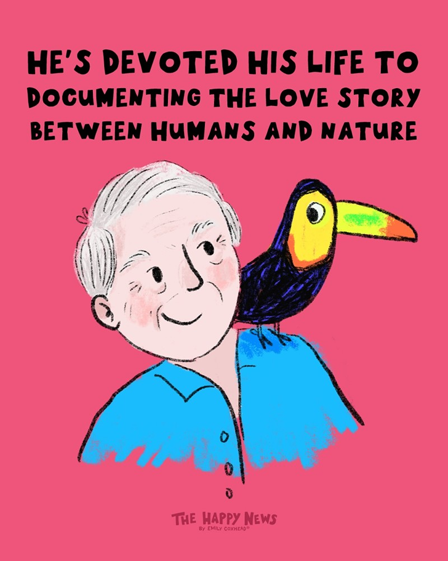 Sir David Attenborough the happy news