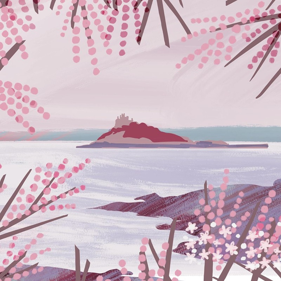 St Michael's Mount Gill Wild