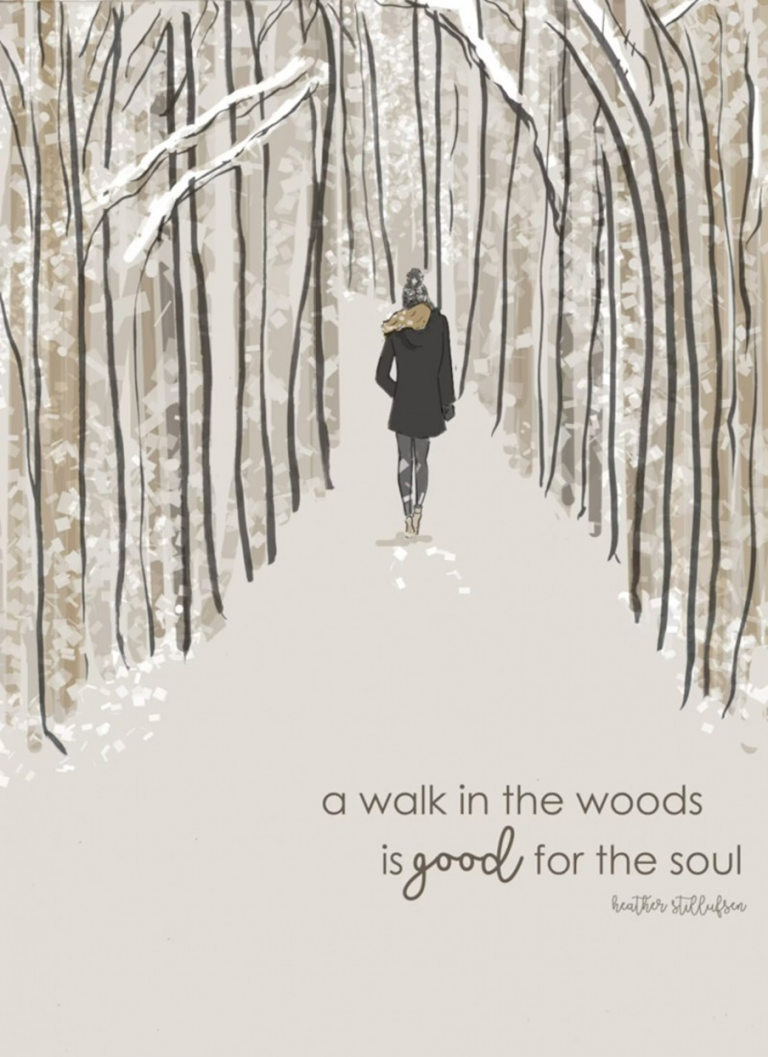 a walk in the woods Heather Stillufsen