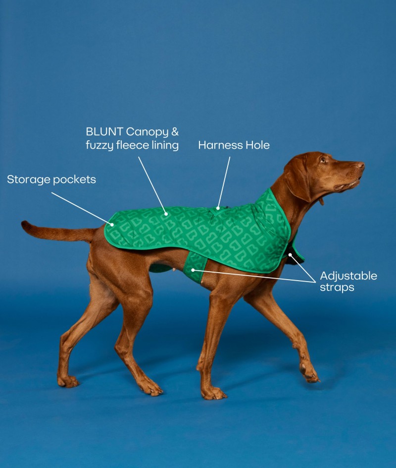 Blunt dog coat
