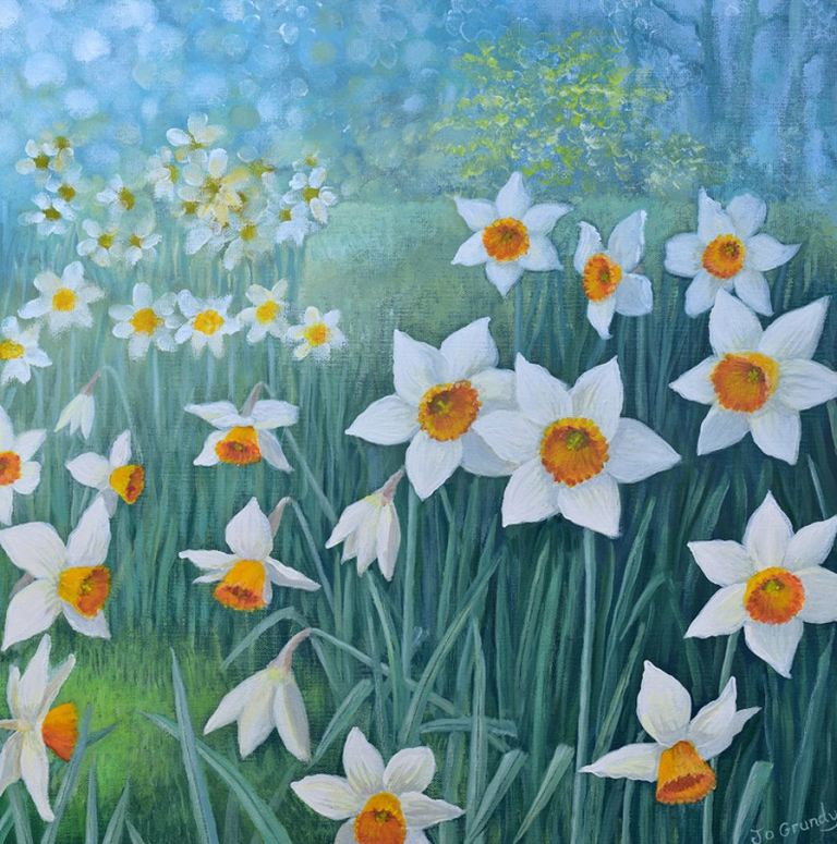 daffodils Jo Grundy