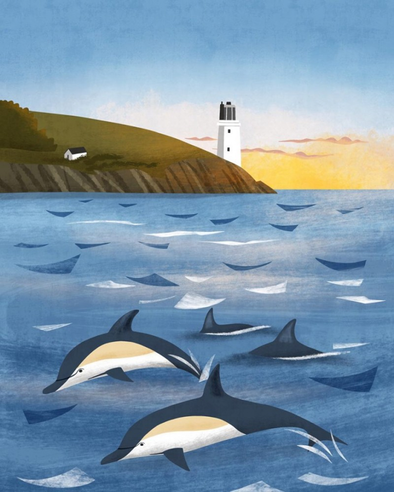 dolphins Holly Astle
