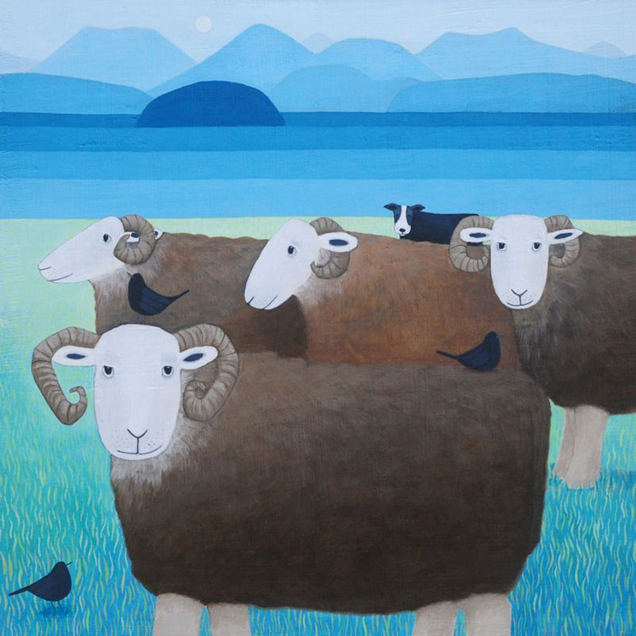 keeping an eye Ailsa Black