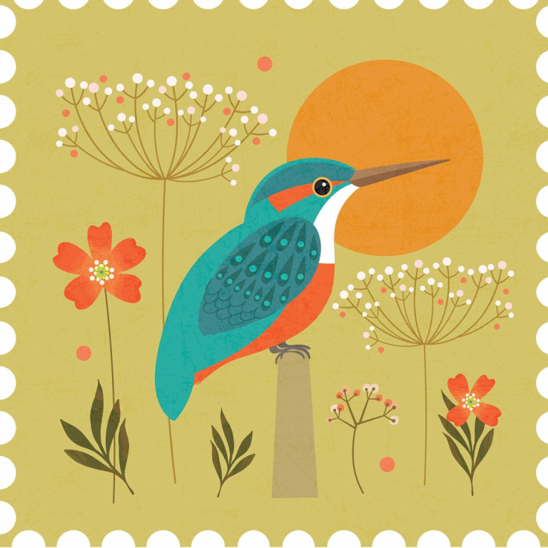 kingfisher Hillberry designs