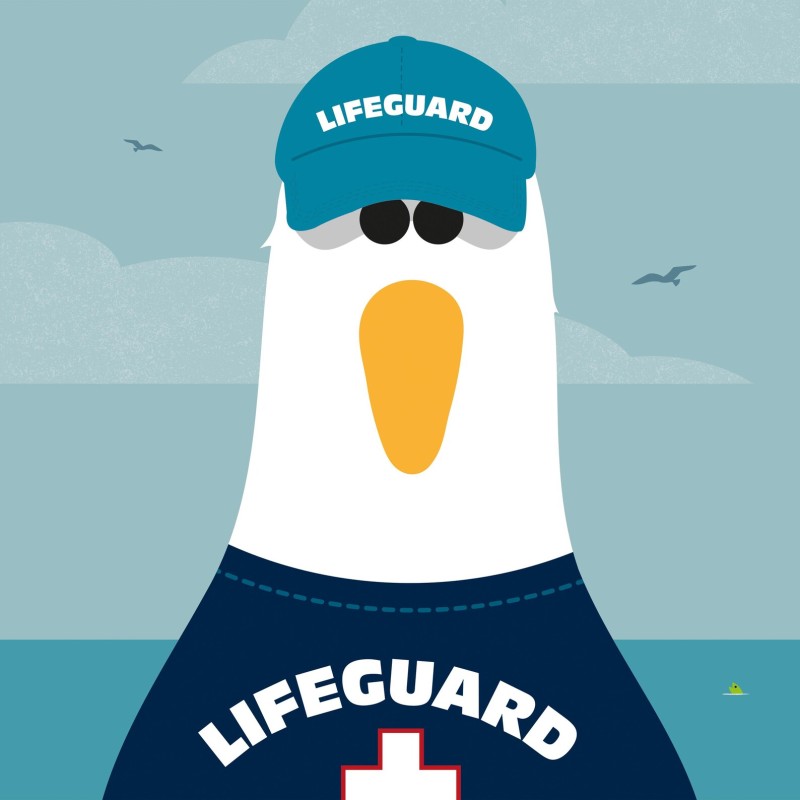 lifeguard seagull