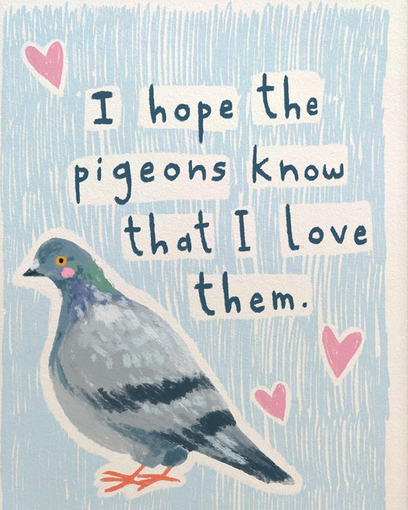 love pigeons Abbie Rose