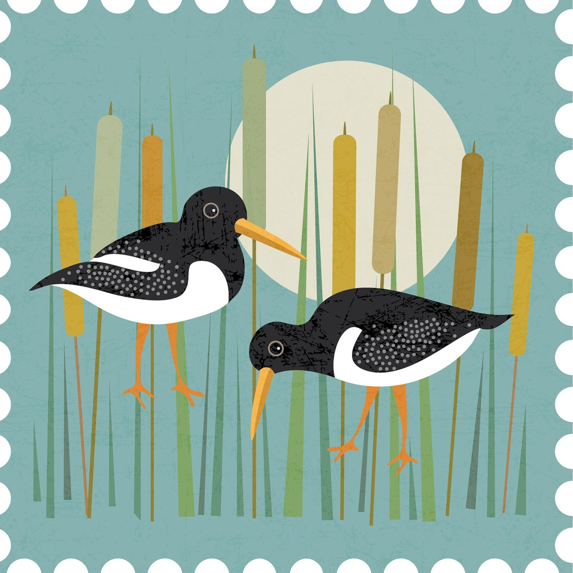 oystercatchers Hillberry designs