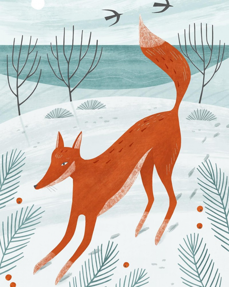 red fox Holly Astle