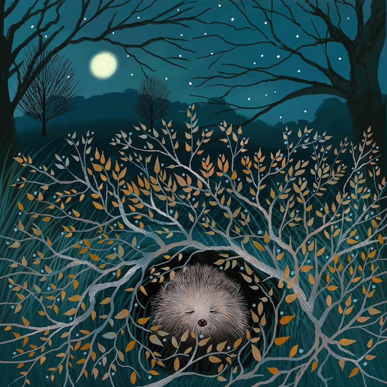 sleeping hedgehog Caroline Smith