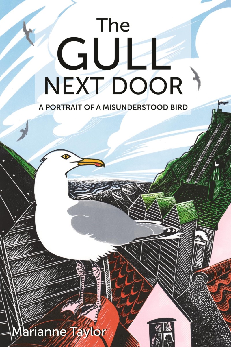 the gull next door