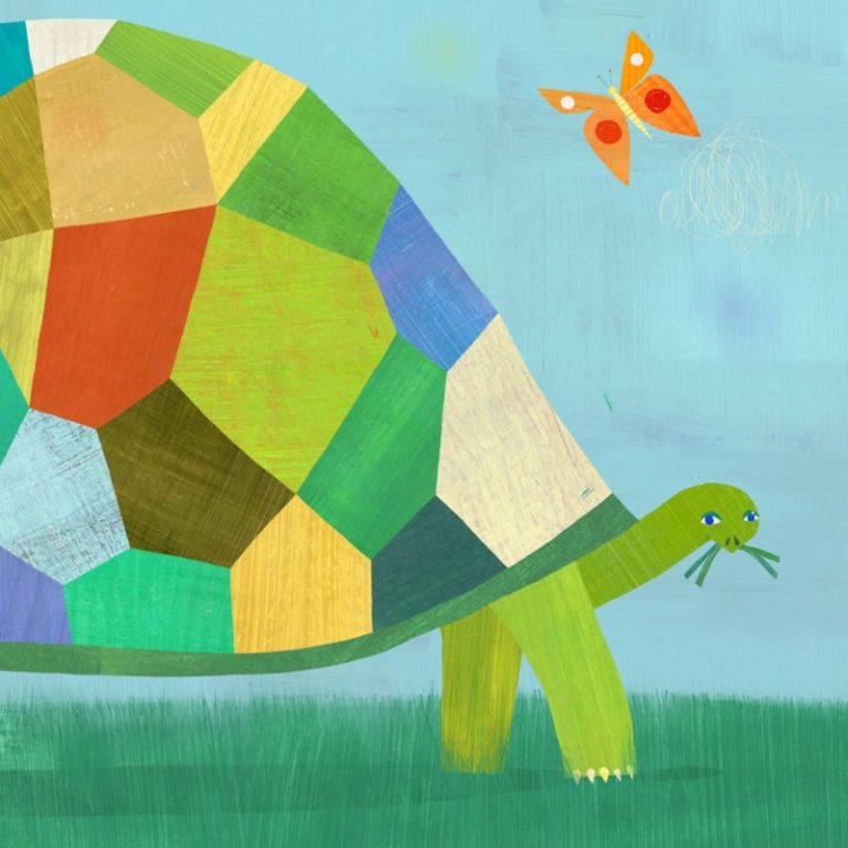 tortoise Melanie Mikecz