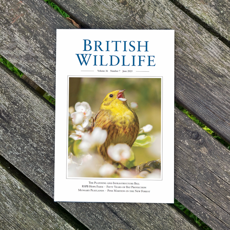British wildlife magazine
