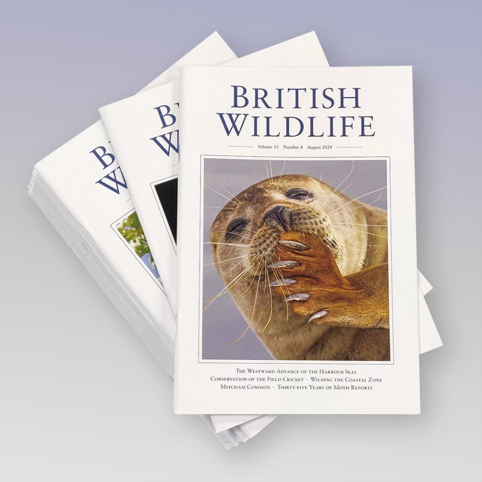 British wildlife magazine