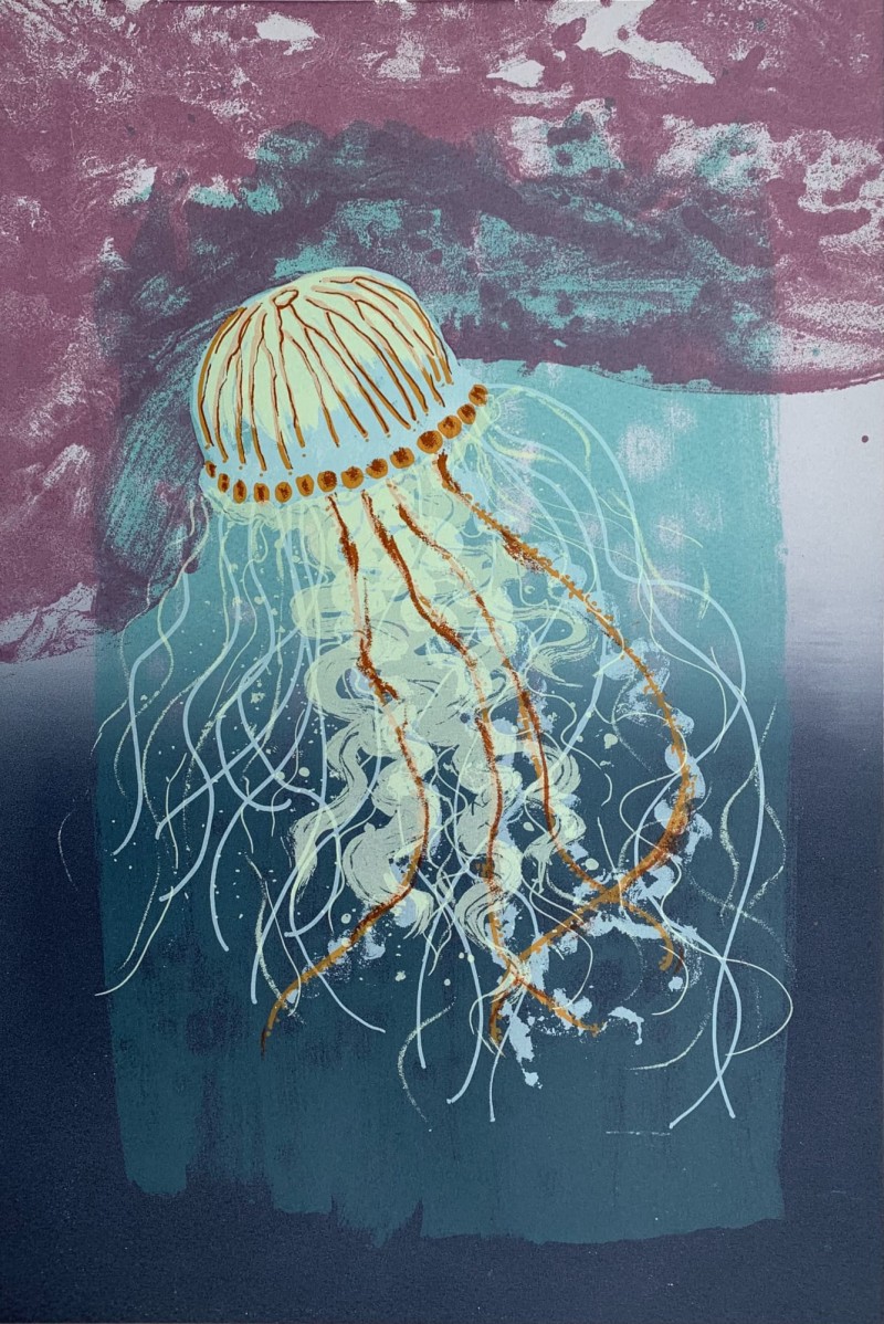 compass jellyfish