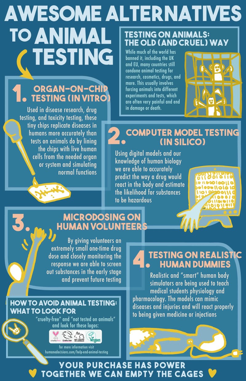 animal testing alternatives