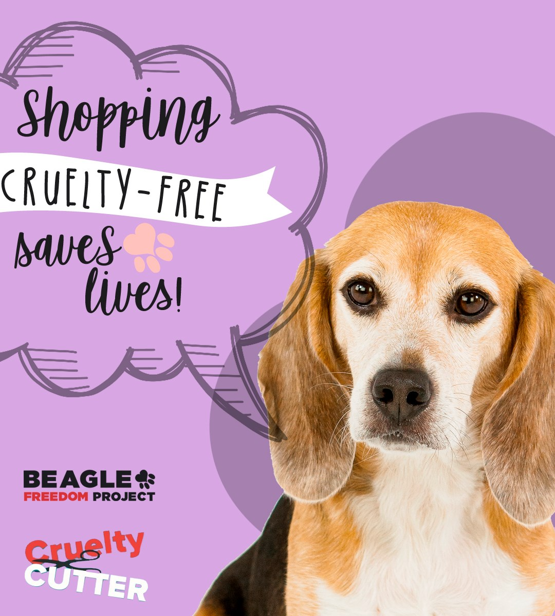 beagle freedom project