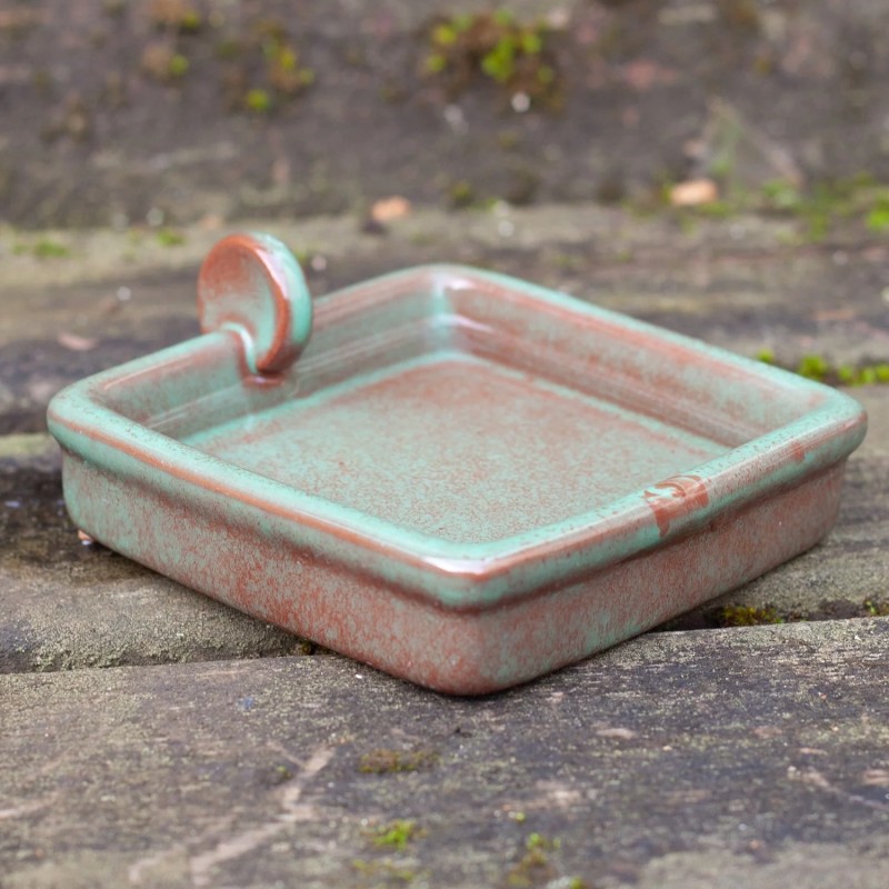 hedgehog shallow water bowl