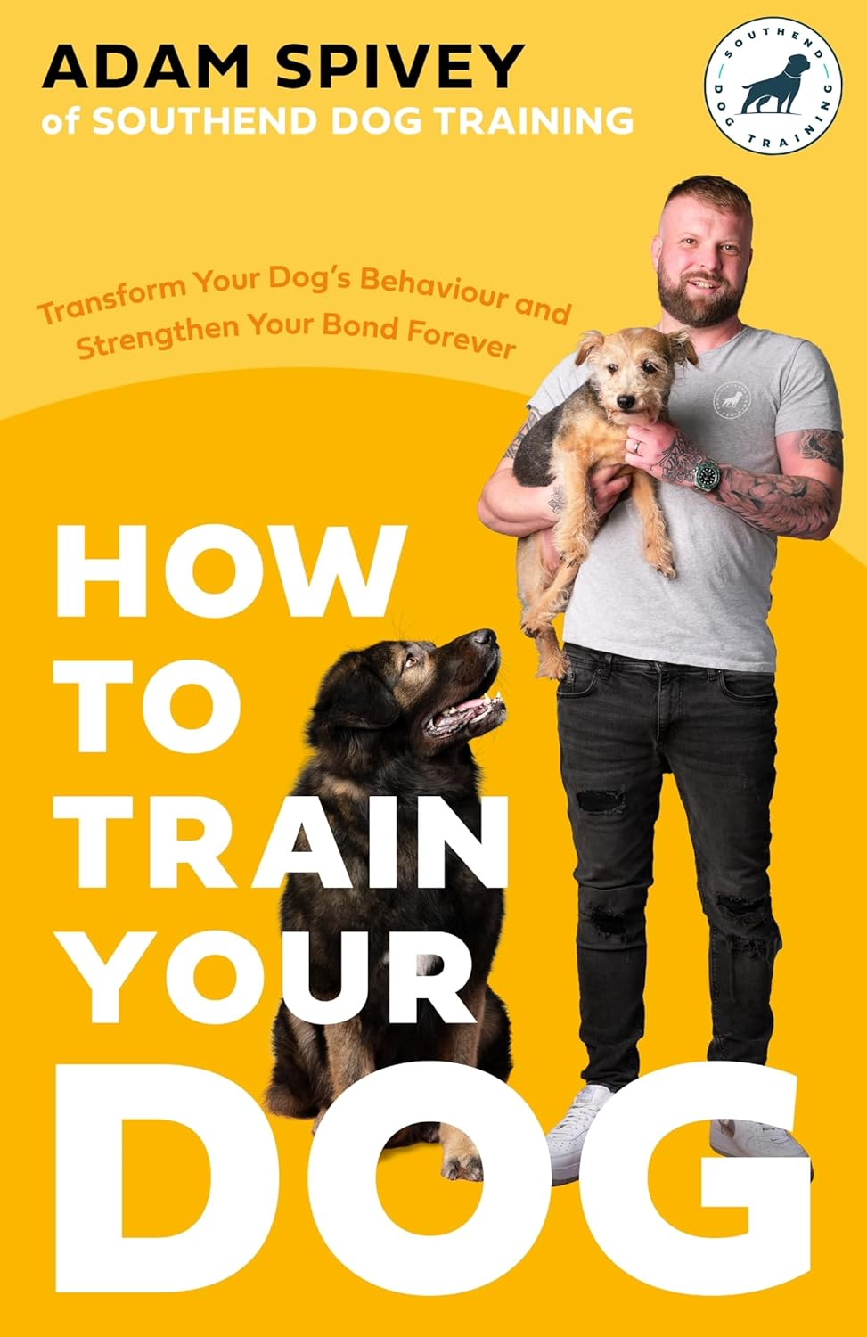 how to train your dog