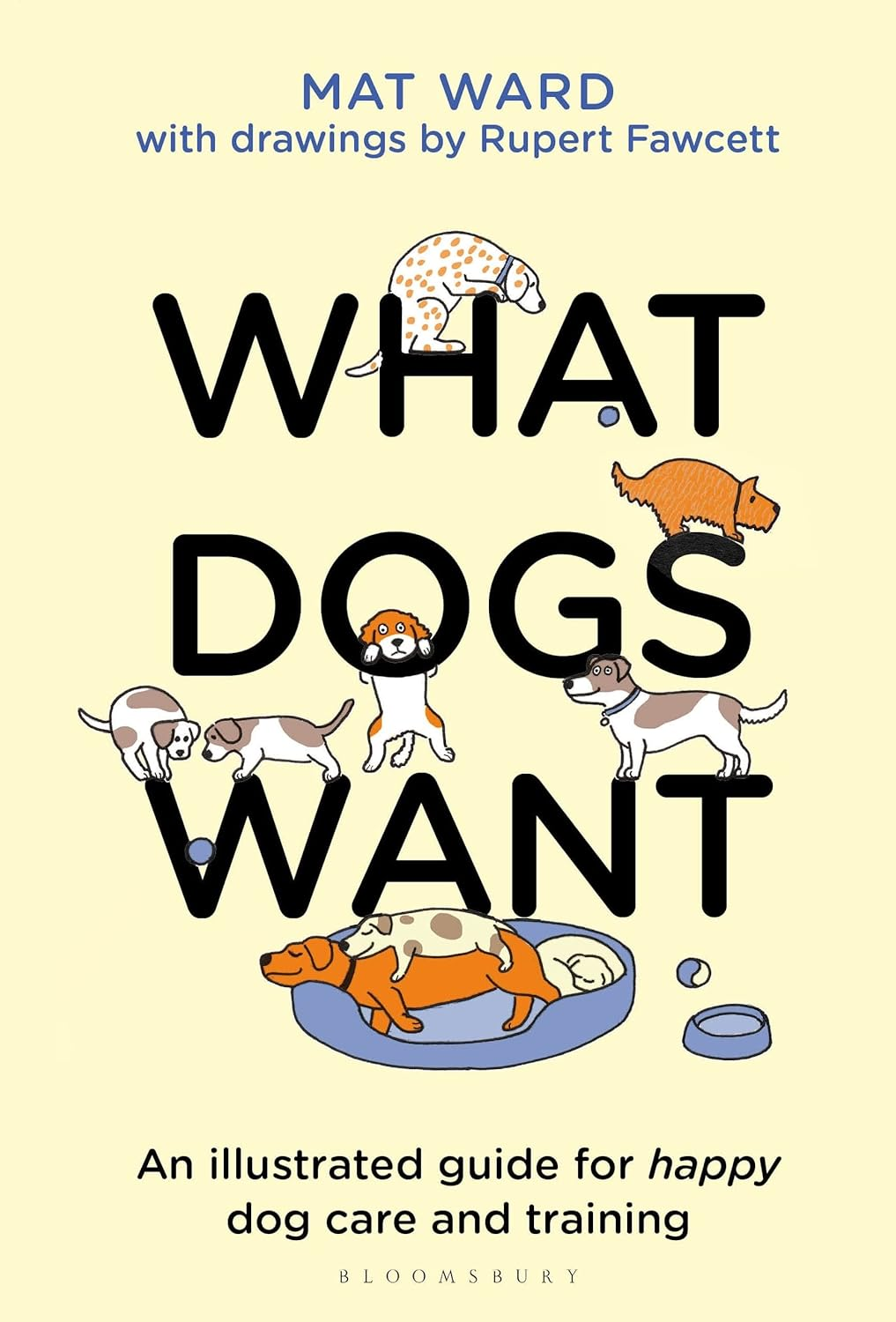 what dogs want
