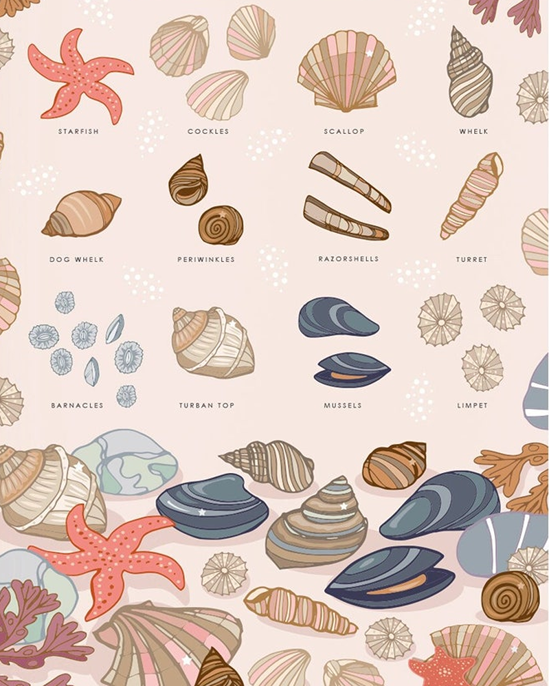 British sea shells Art by Angie