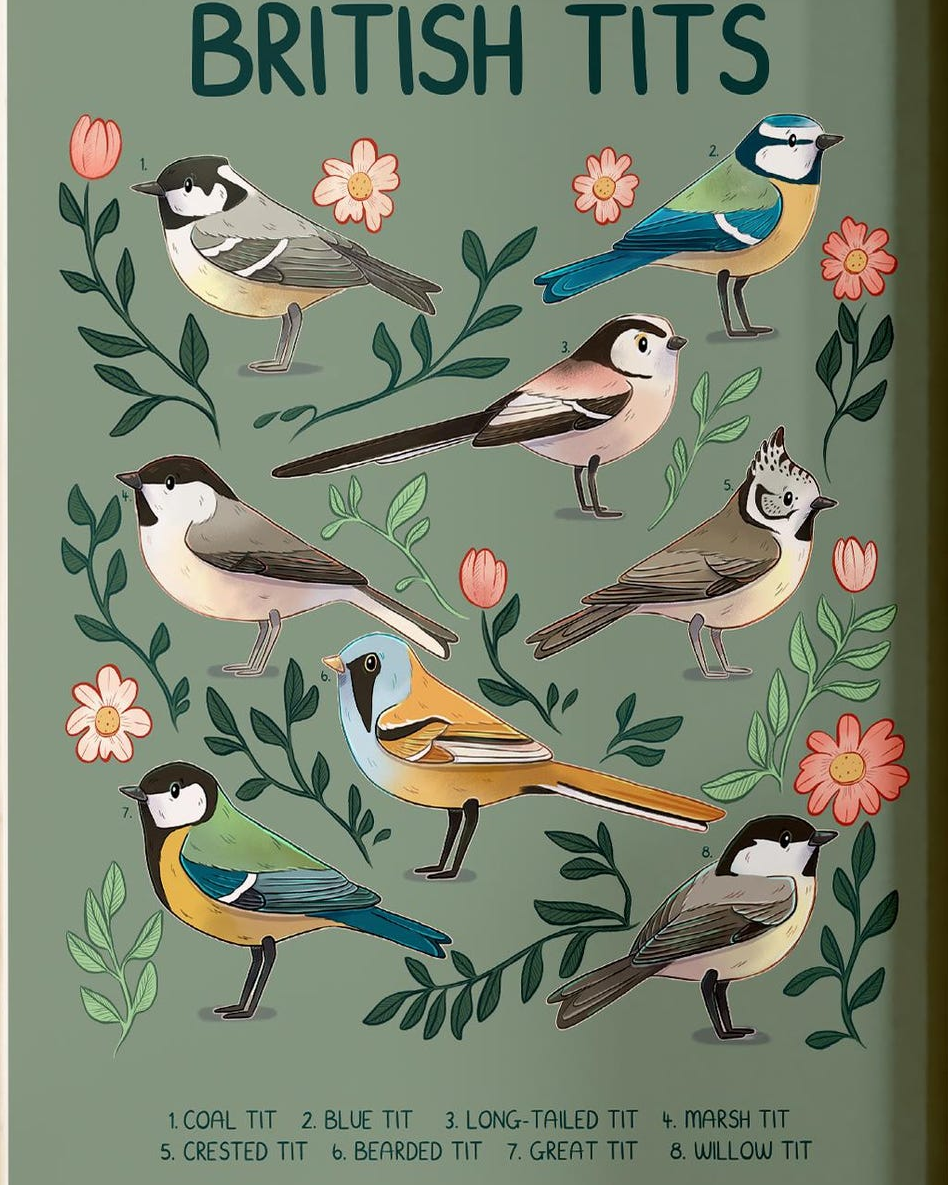 British tits Melissa Jan