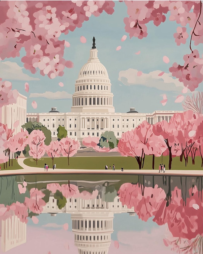 Washington DC