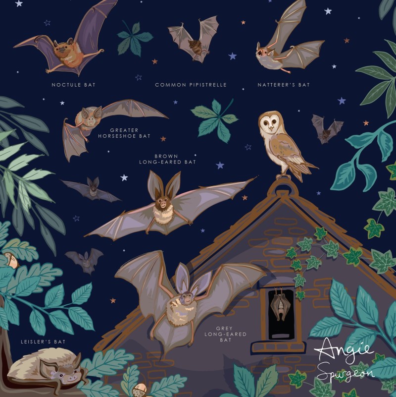 bats Art by Angie