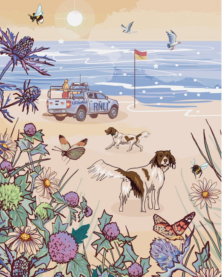 dogs on the beach