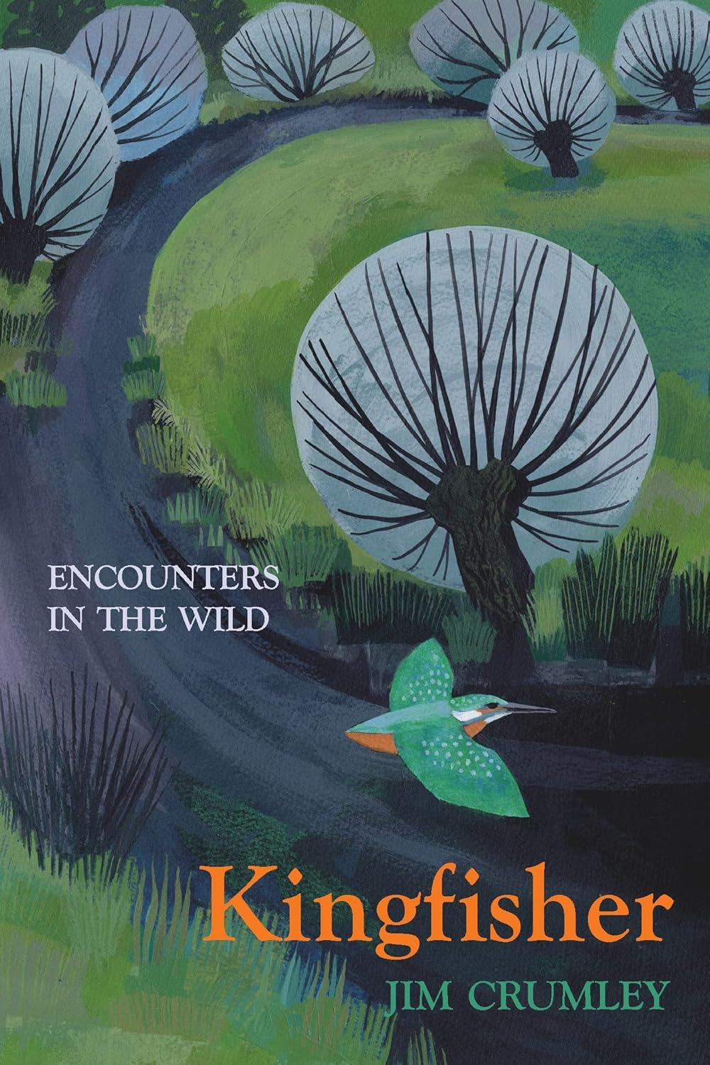 kingfisher encounters in the wild