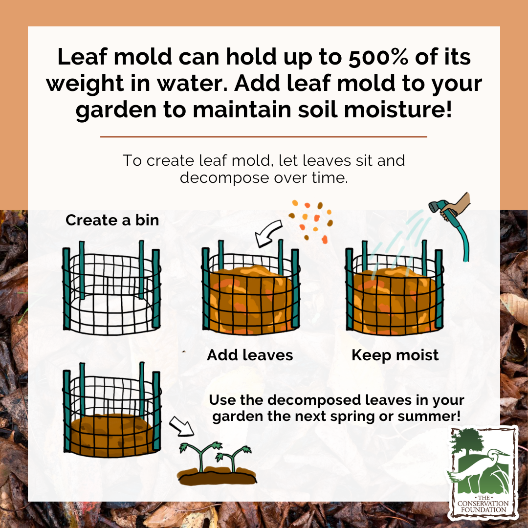 leaf mould