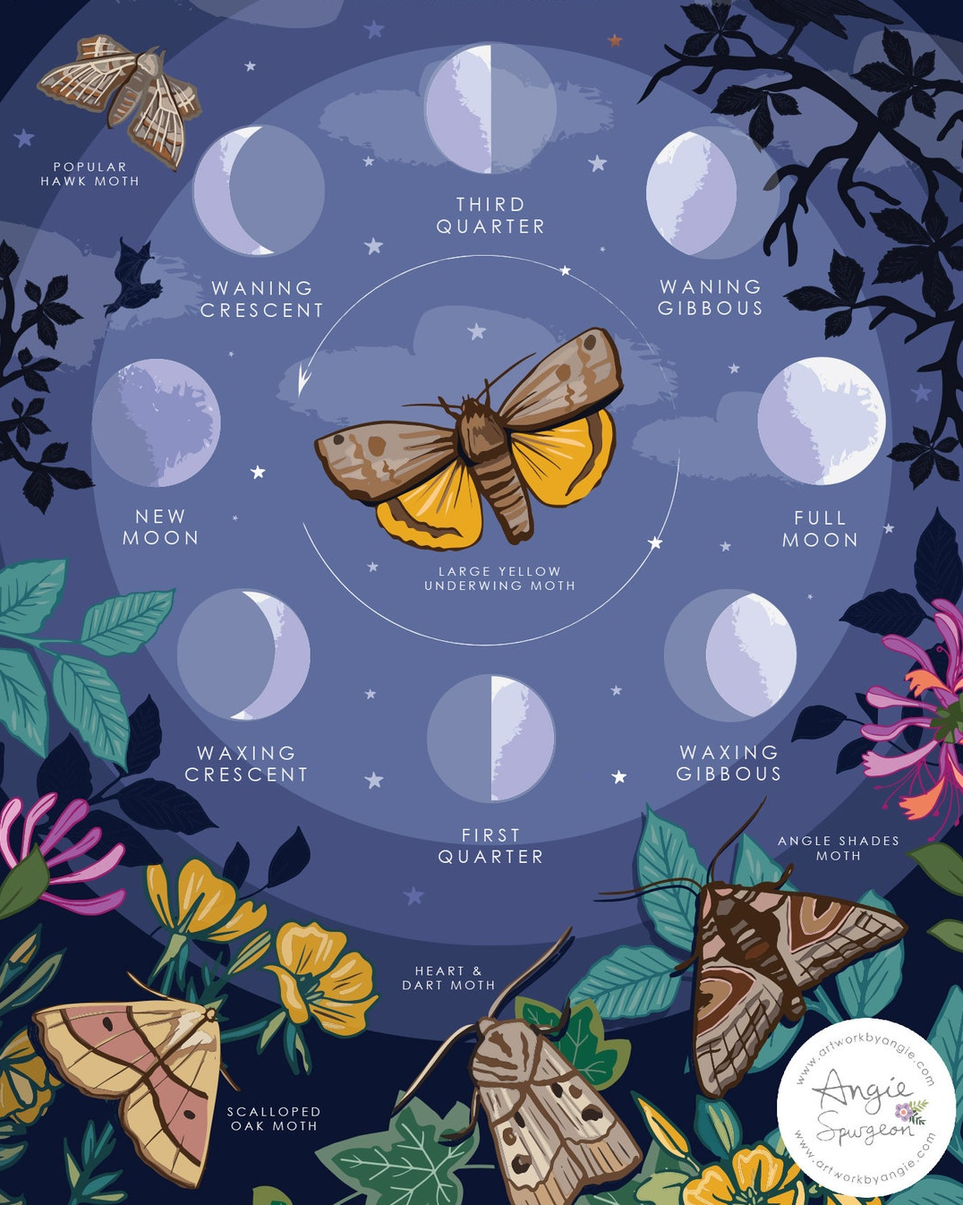 moon phases Art by Angie
