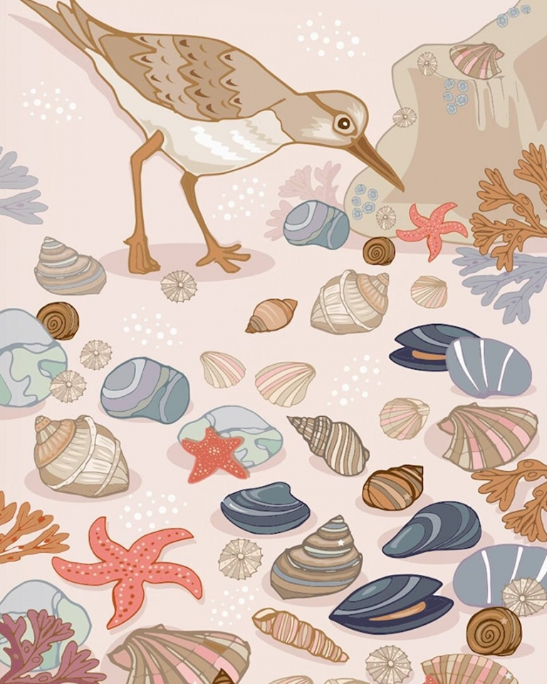 sandpiper Art by Angie